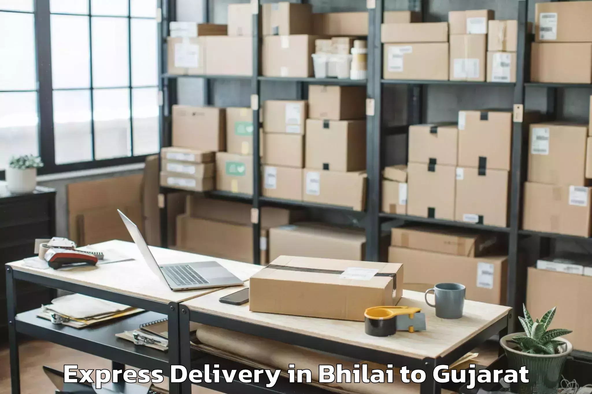 Leading Bhilai to Hemchandracharya North Gujarat Express Delivery Provider